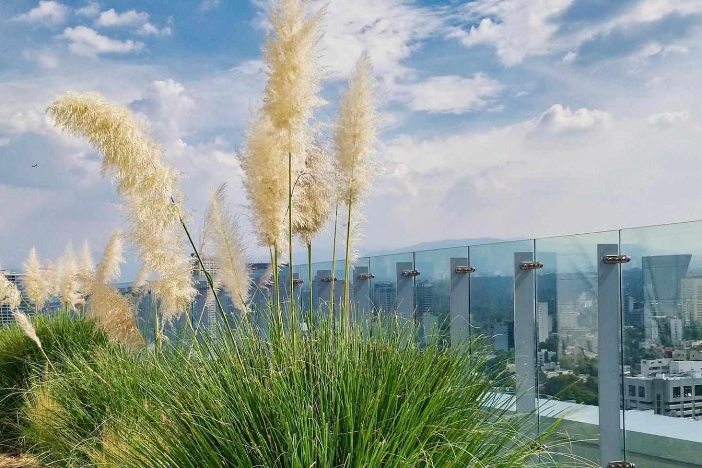 Luxurious High-Rise Hs Wifi, Amazing City Views Mexico City Exterior photo